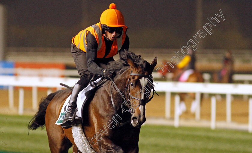 Alenquer-0001 
 ALENQUER training for The Sheema Classic
Meydan, Dubai, 24 Mar 2022 - Pic Steven Cargill / Racingfotos.com