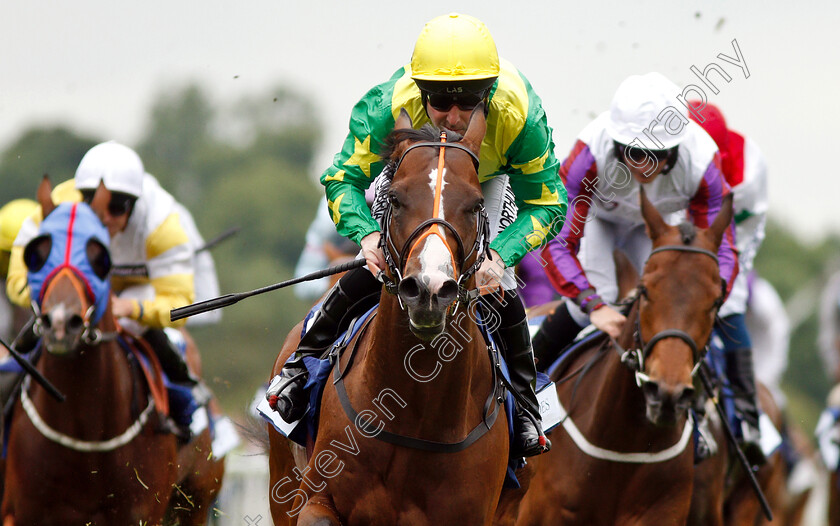 Recon-Mission-0009 
 RECON MISSION (Robert Winston) wins The Pavers Foundation Catherine Memorial Sprint Handicap
York 15 Jun 2019 - Pic Steven Cargill / Racingfotos.com