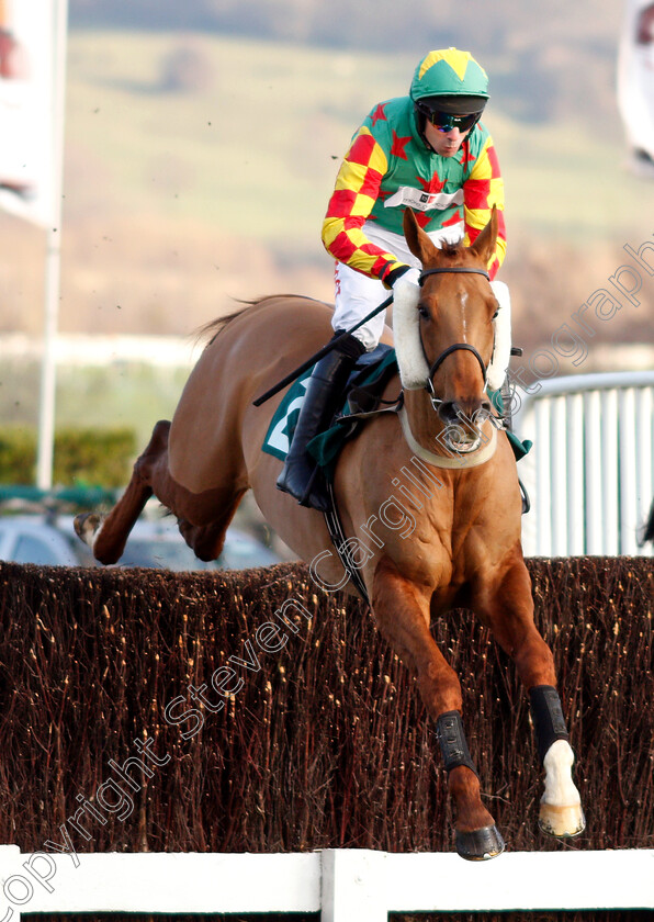 Lil-Rockerfeller-0001 
 LIL ROCKERFELLER (Wayne Hutchinson)
Cheltenham 14 Dec 2018 - Pic Steven Cargill / Racingfotos.com