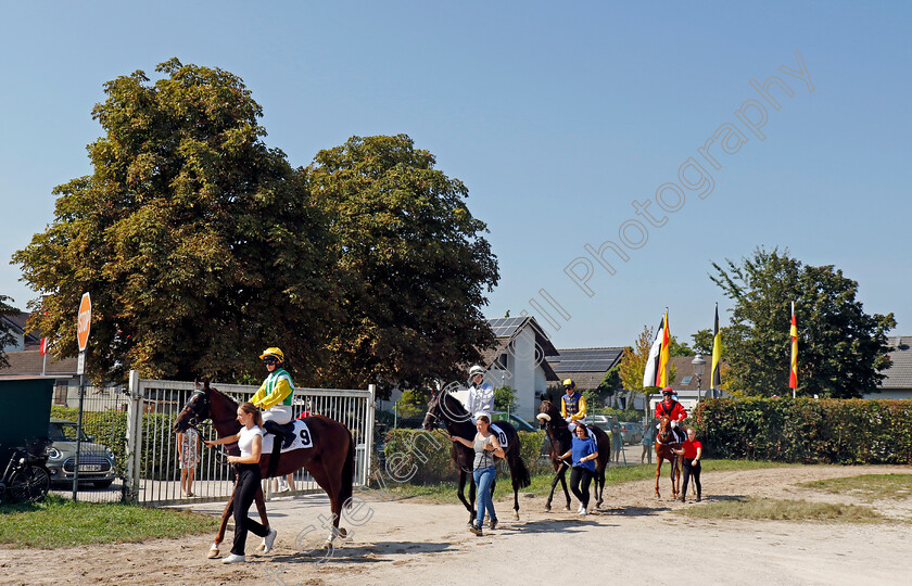 Baden-0006 
 Horses walk to the track
Baden Baden 1 Sep 2024 - Pic Steven Cargill / Racingfotos.com