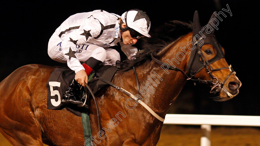 Aleef-0005 
 ALEEF (Adam Kirby) wins The Bet totetrifecta At betfred.com Handicap Chelmsford 21 Dec 2017 - Pic Steven Cargill / Racingfotos.com