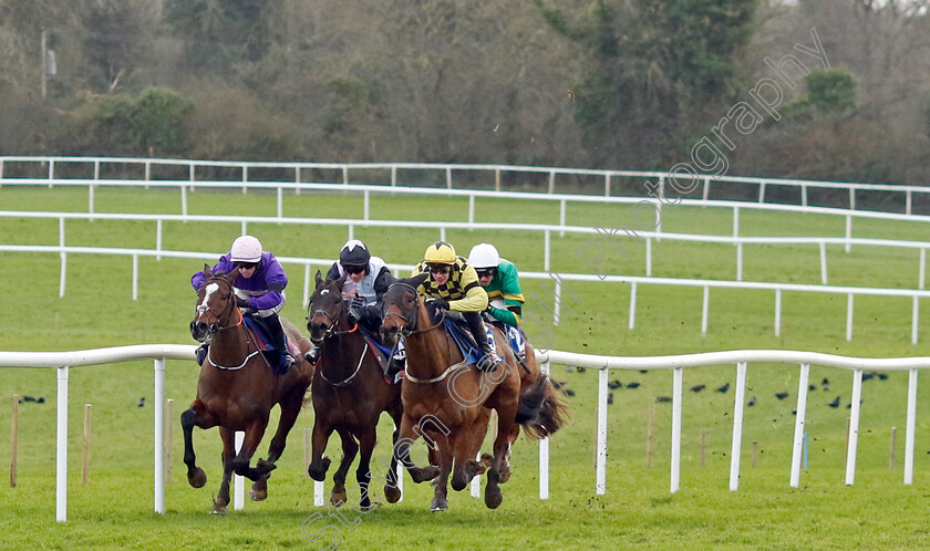 Salvator-Mundi-0009 
 SALVATOR MUNDI (right, Paul Townend) wins the Sky Bet Moscow Flyer Novice Hurdle
Punchestown 12 Jan 2025 - Pic Steven Cargill / Racingfotos.com