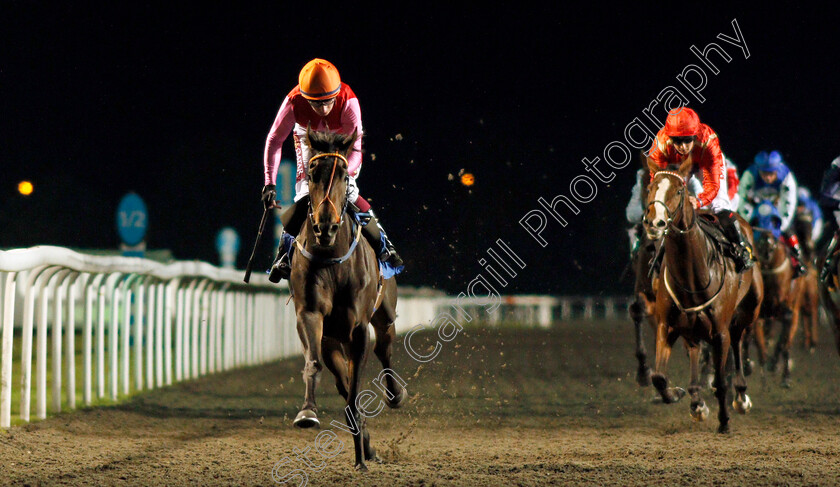 Sandy-Steve-0003 
 SANDY STEVE (Oisin Murphy) wins The 32Red On The App Store Handicap
Kempton 2 Oct 2019 - Pic Steven Cargill / Racingfotos.com