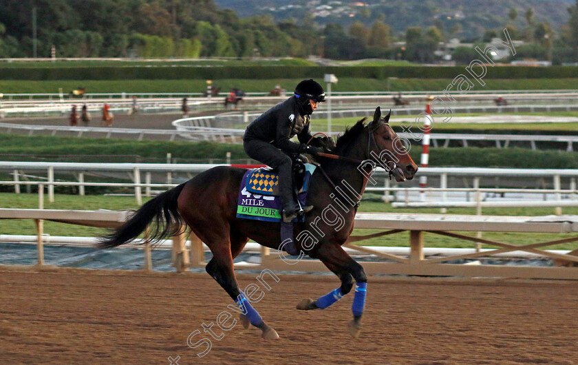 Du-Jour-0001 
 DU JOUR training for The Breeders' Cup Mile
Santa Anita USA, 31 October 2023 - Pic Steven Cargill / Racingfotos.com