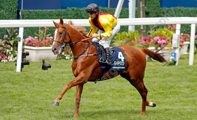 Torquator-Tasso-0001 
 TORQUATOR TASSO (Rene Piechulek)
Ascot 23 Jul 2022 - Pic Steven Cargill / Racingfotos.com