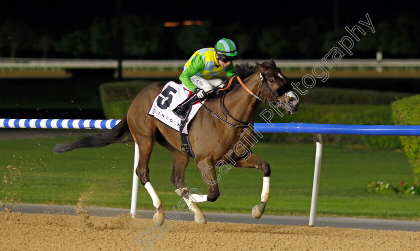 My-Dubawi-0003 
 MY DUBAWI (Tadhg O'Shea) wins The Lincoln Handicap
Meydan 2 Feb 2024 - Pic Steven Cargill / Racingfotos.com