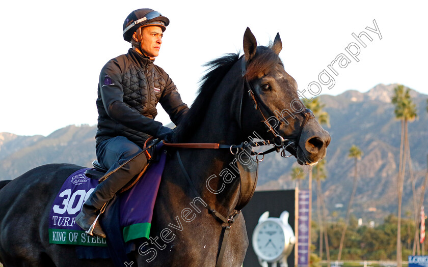 King-Of-Steel-0001 
 KING OF STEEL training for the Breeders' Cup Turf
Santa Anita USA, 1 Nov 2023 - Pic Steven Cargill / Racingfotos.com