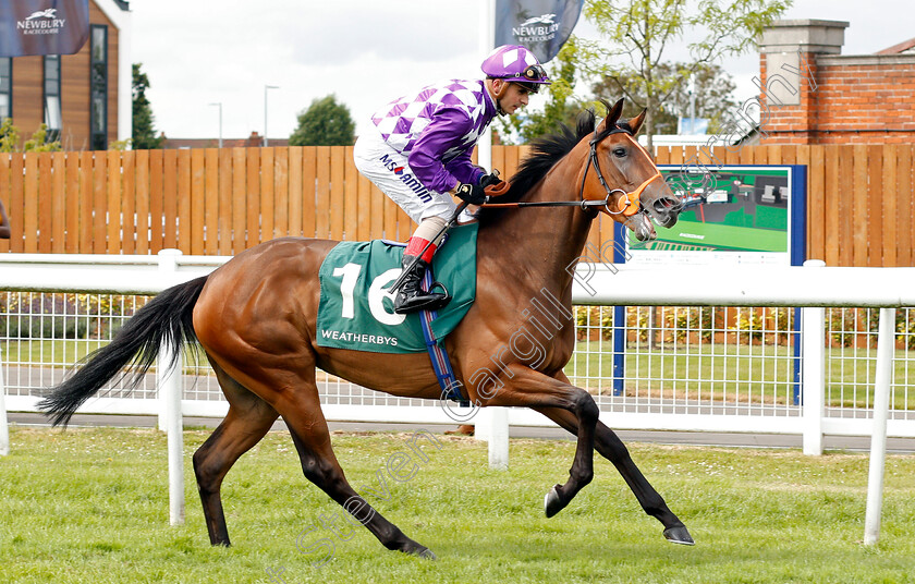 Separate-0001 
 SEPARATE (Andrea Atzeni)
Newbury 20 Jul 2019 - Pic Steven Cargill / Racingfotos.com