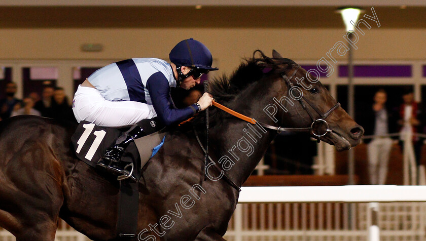 Bowerman-0007 
 BOWERMAN (Jack Mitchell) wins The Bet toteexacta At betfred.com Handicap Chelmsford 7 Dec 2017 - Pic Steven Cargill / Racingfotos.com