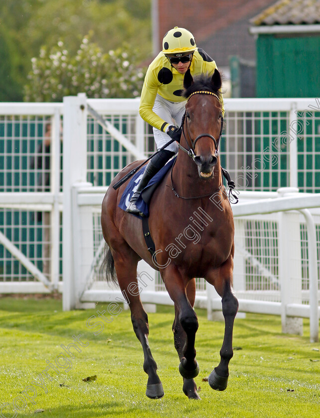 Gracious-Leader-0002 
 GRACIOUS LEADER (James Doyle)
Yarmouth 16 Oct 2023 - Pic Steven Cargill / Racingfotos.com