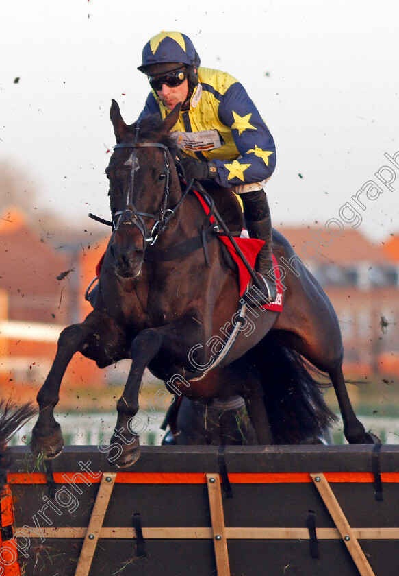 Anytime-Will-Do-0001 
 ANYTIME WILL DO (Harry Skelton)
Newbury 29 Nov 2019 - Pic Steven Cargill / Racingfotos.com