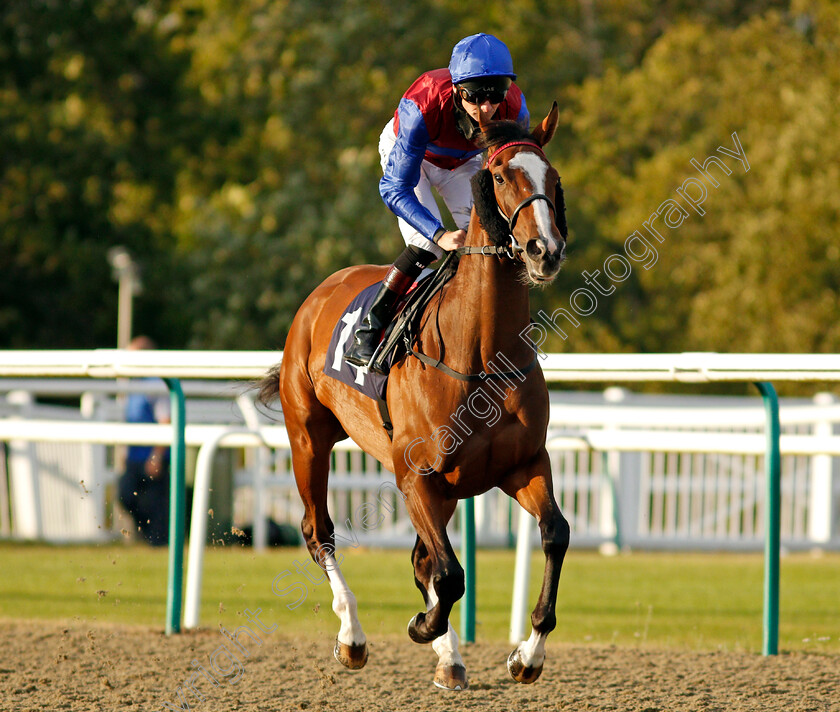 Tao-Te-Ching-0001 
 TAO TE CHING (Robert Havlin)
Lingfield 5 Aug 2020 - Pic Steven Cargill / Racingfotos.com