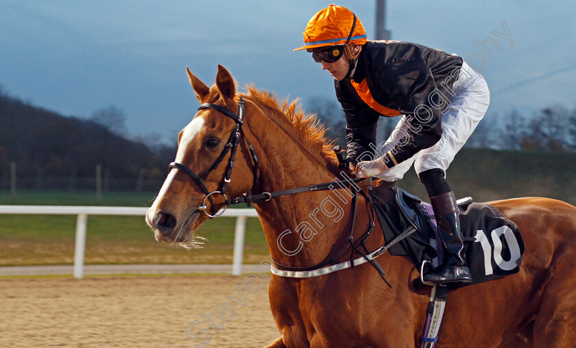 Bank-Holiday-0001 
 BANK HOLIDAY (Sean Davis)
Chelmsford 19 Nov 2019 - Pic Steven Cargill / Racingfotos.com