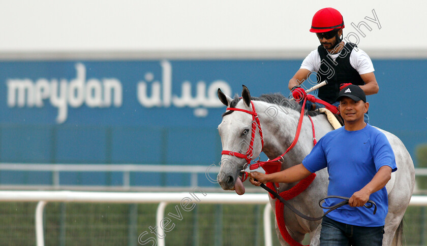 X-Y-Jet-0001 
 X Y JET training for the Dubai Golden Shaheen
Meydan 27 Mar 2019 - Pic Steven Cargill / Racingfotos.com