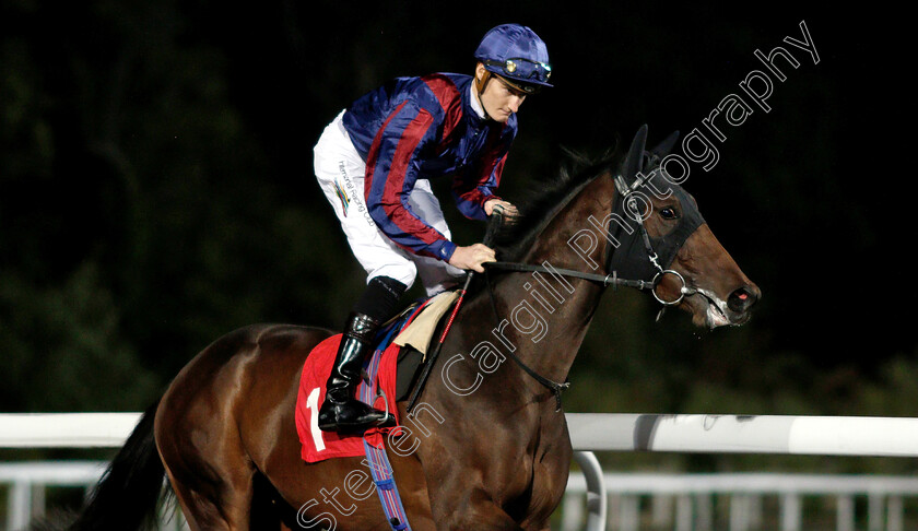 Spanish-Archer-0002 
 SPANISH ARCHER (Daniel Muscutt)
Kempton 27 Sep 2018 - Pic Steven Cargill / Racingfotos.com