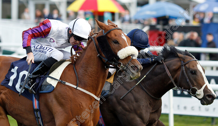 Von-Blucher-0004 
 VON BLUCHER (left, Cam Hardie) beats NORMANDY BARRIERE (right) in The Lakeside Village Outlet Shopper Handicap
Doncaster 14 Sep 2018 - Pic Steven Cargill / Racingfotos.com