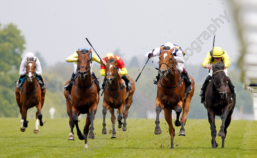 Quddwah-0006 
 QUDDWAH (left, William Buick) beats DOCKLANDS (2nd right) and MALJOOM (right) in The Bet With Ascot Donation Scheme Paradise Stakes
Ascot 1 May 2024 - Pic Steven Cargill / Racingfotos.com