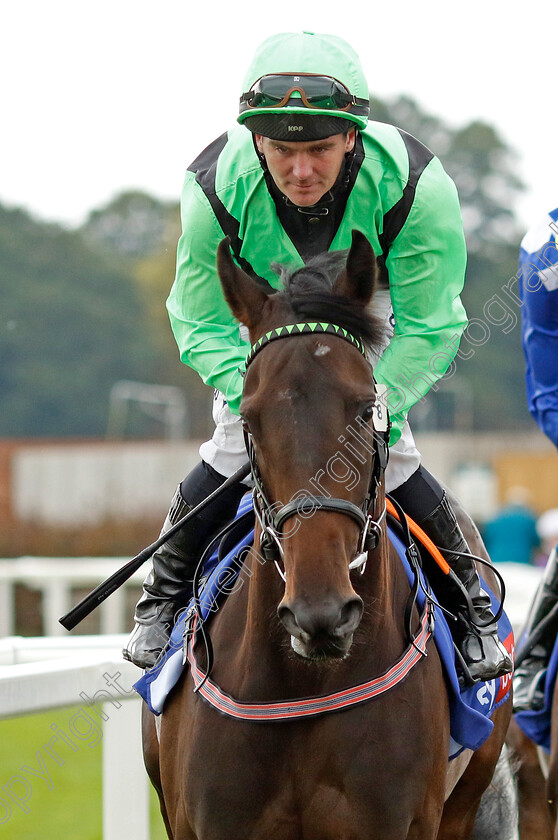 Lady-Tilbury 
 LADY TILBURY (G Carroll)
York 18 Aug 2022 - Pic Steven Cargill / Racingfotos.com