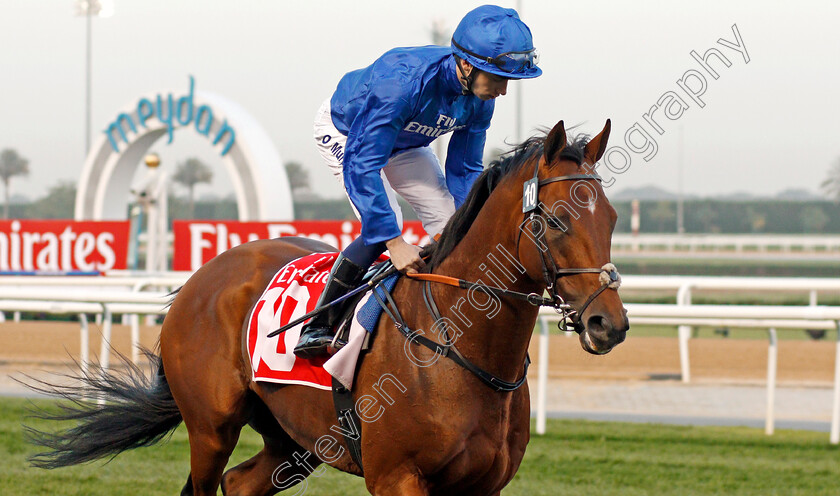 Benbatl-0001 
 BENBATL (Oisin Murphy) Meydan 10 Mar 2018 - Pic Steven Cargill / Racingfotos.com