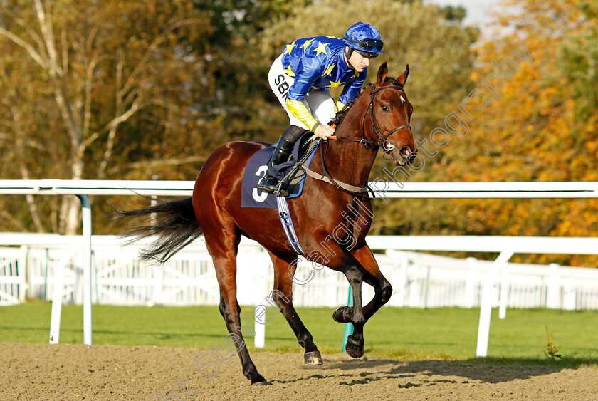 Appearing 
 APPEARING (Richard Kingscote)
Lingfield 28 Oct 2021 - Pic Steven Cargill / Raingfotos.com