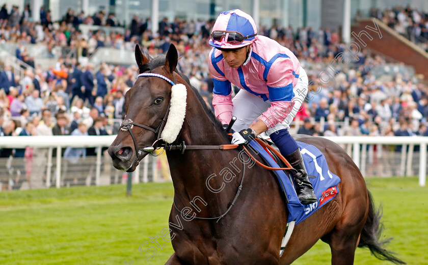 Check-And-Challenge-0001 
 CHECKANDCHALLENGE (Silvestre De Sousa)
York 24 Aug 2024 - Pic Steven Cargill / Racingfotos.com