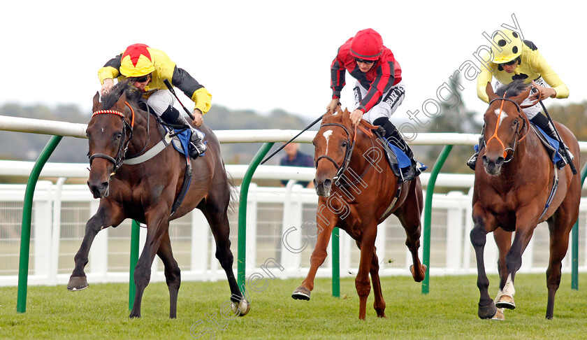 Kenzai-Warrior-0002 
 KENZAI WARRIOR (Jason Watson) beats MAX VEGA (centre) and MAMBO NIGHTS (right) in The Irish Thoroughbred Marketing Novice Stakes
Salisbury 5 Sep 2019 - Pic Steven Cargill / Racingfotos.com