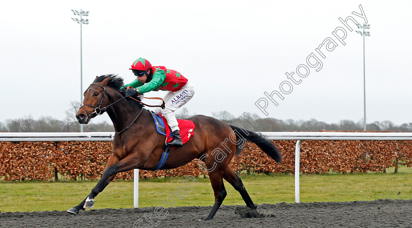 Diligent-Harry-0002 
 DILIGENT HARRY (Adam Kirby) wins The Unibet New Instant Roulette Novice Stakes
Kempton 16 Feb 2021 - Pic Steven Cargill / Racingfotos.com