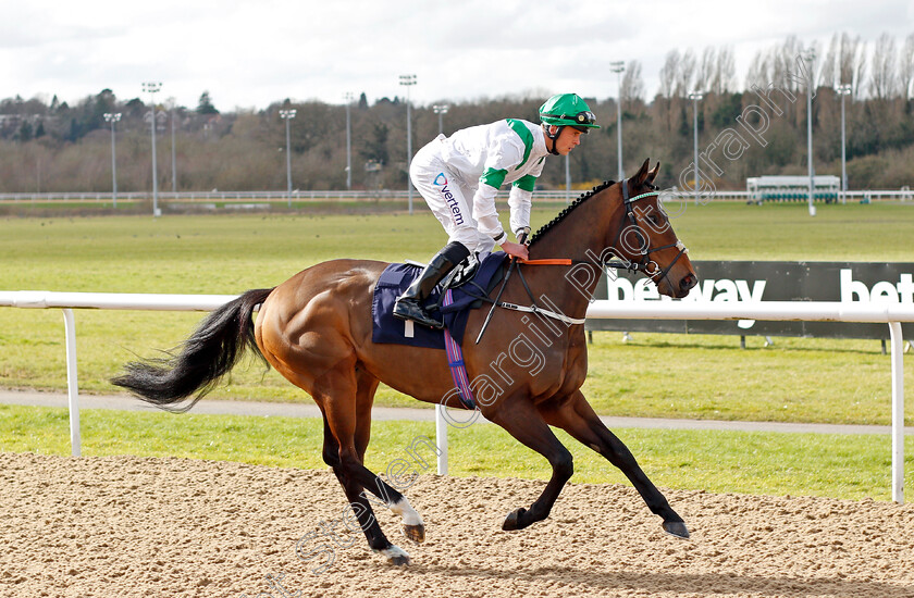 Exalted-Angel 
 EXALTED ANGEL (Clifford Lee)
Wolverhampton 12 Mar 2022 - Pic Steven Cargill / Racingfotos.com