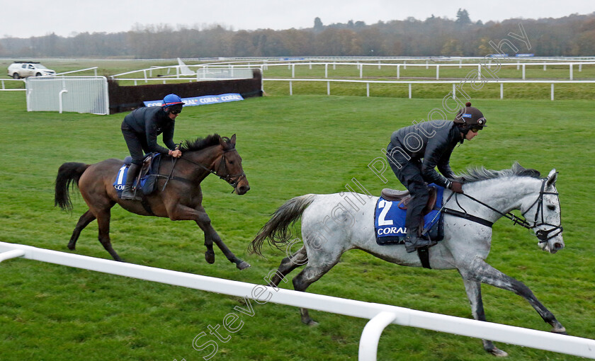 Lac-De-Constance-and-Heltenham-0002 
 LAC DE CONSTANCE (right) and HELTENHAM (left) 
Coral Gold Cup gallops morning Newbury 19 Nov 20234 - Pic Steven Cargill / Racingfotos.com