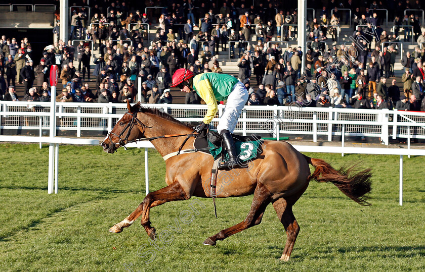 Sizing-Tennessee-0006 
 SIZING TENNESSEE (Bryan Cooper) wins The Horse Comes First Novices Chase Cheltenham 15 Dec 2017 - Pic Steven Cargill / Racingfotos.com