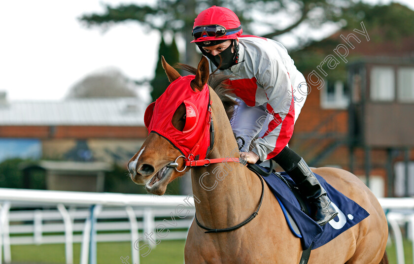 Amasova-0001 
 AMASOVA (Ray Dawson)
Lingfield 27 Feb 2021 - Pic Steven Cargill / Racingfotos.com