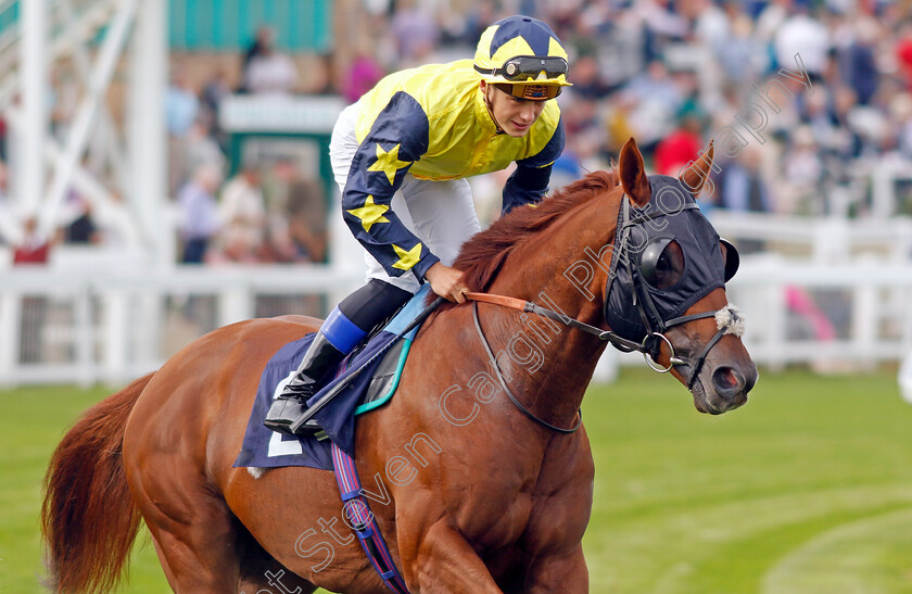 Magical-Mile-0001 
 MAGICAL MILE (Benoit de la Sayette)
Yarmouth 13 Sep 2022 - Pic Steven Cargill / Racingfotos.com