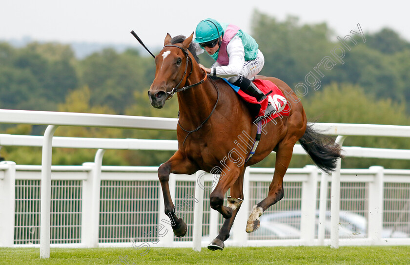 Nostrum-0003 
 NOSTRUM (Ryan Moore) wins The Martin Densham Memorial EBF Maiden Stakes
Sandown 21 Jul 2022 - Pic Steven Cargill / Racingfotos.com