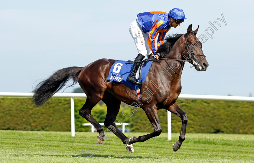 Democracy-0001 
 DEMOCRACY (Christophe Soumillon)
Leopardstown 9 Sep 2023 - Pic Steven Cargill / Racingfotos.com