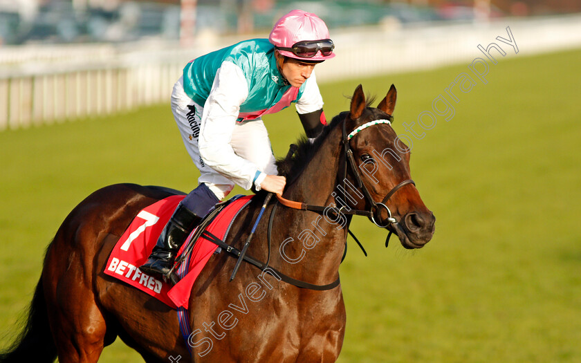 Time-Chaser-0002 
 TIME CHASER (Jim Crowley) Doncaster 11 Nov 2017 - Pic Steven Cargill / Racingfotos.com