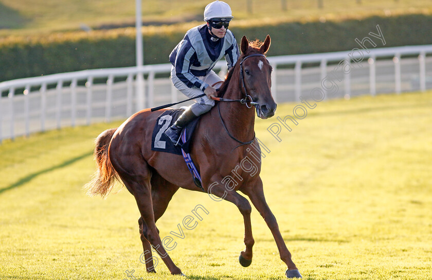 Every-Blue-Moon-0001 
 EVERY BLUE MOON (Richard Kingscote)
Goodwood 26 Aug 2022 - Pic Steven Cargill / Racingfotos.com