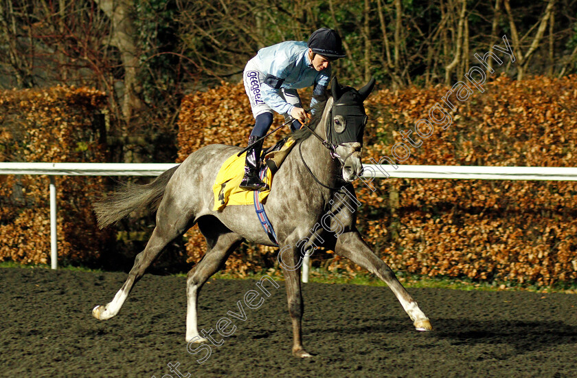 Harrow-0002 
 HARROW (David Probert)
Kempton 2 Mar 2022 - Pic Steven Cargill / Racingfotos.com