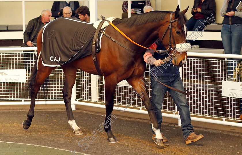 Lot-0123-colt-by-Swiss-Spirit-ex-Jollification-0002 
 2nd top lot; Lot 123 colt by Swiss Spirit ex Jollification sells for £100,000 at Tattersalls Ireland Breeze Up Sale 5 Apr 2018 - Pic Steven Cargill / Racingfotos.com