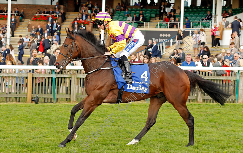 Great-Prospector-0001 
 GREAT PROSPECTOR (Paul Hanagan) Newmarket 14 Oct 2017 - Pic Steven Cargill / Racingfotos.com