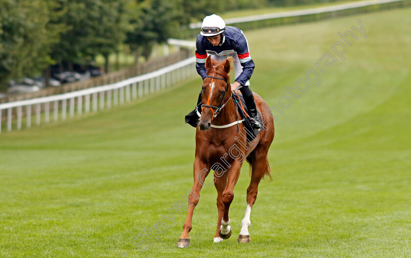 Dragon-Leader-0001 
 DRAGON LEADER (Rossa Ryan)
Newmarket 10 Aug 2024 - Pic Steven Cargill / Racingfotos.com