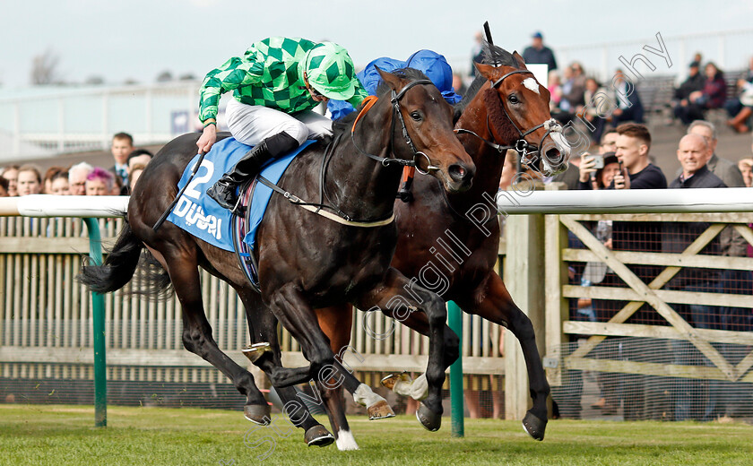 Abel-Handy-0002 
 ABEL HANDY (left, James Doyle) beats SOUND AND SILENCE (right) in The Newmarket Academy Godolphin Beacon Project Cornwallis Stakes Newmarket 13 Oct 2017 - Pic Steven Cargill / Racingfotos.com