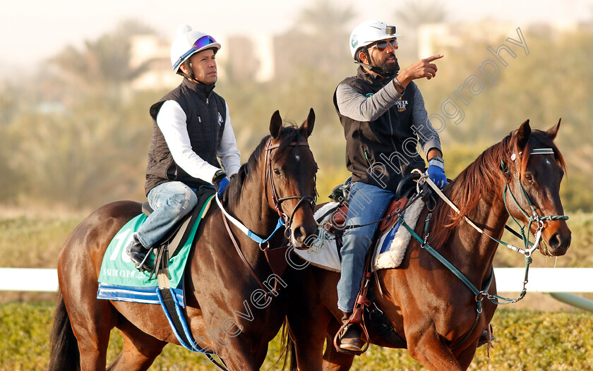 Midnight-Bisou-0003 
 MIDNIGHT BISOU preparing for The Saudi Cup
Riyadh Racetrack, Kingdom Of Saudi Arabia, 27 Feb 2020 - Pic Steven Cargill / Racingfotos.com