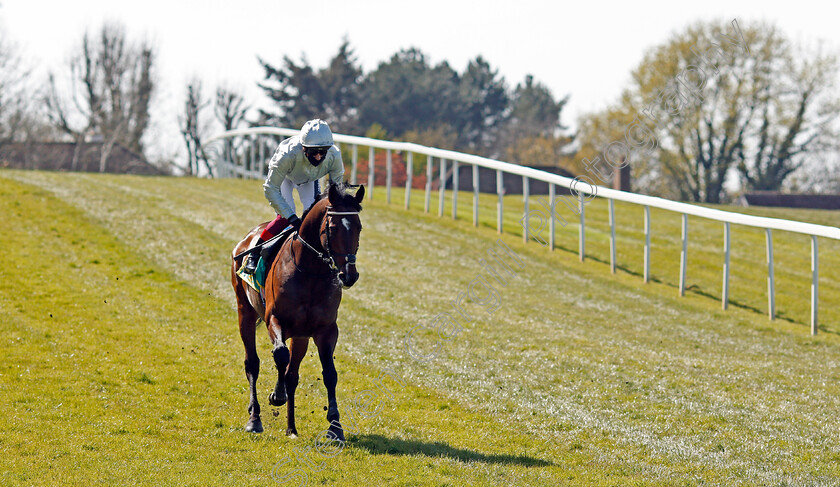 Palace-Pier-0001 
 PALACE PIER (Frankie Dettori) winner of The bet365 Mile
Sandown 23 Apr 2021 - Pic Steven Cargill / Racingfotos.com