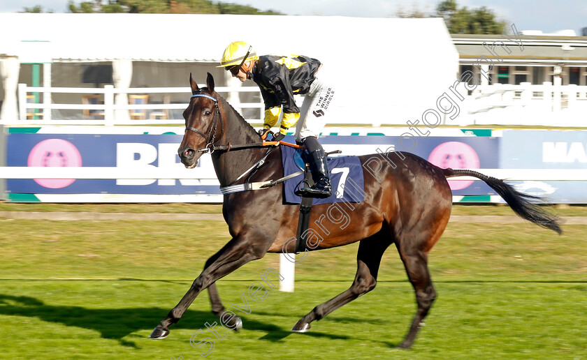 Alcazan-0001 
 ALCAZAN (Saffie Osborne)
Yarmouth 17 Sep 2024 - Pic Steven Cargill / Racingfotos.com