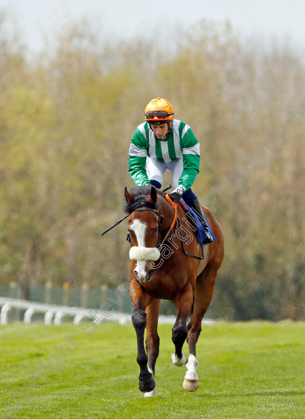 Harb-0002 
 HARB (Connor Planas)
Epsom 25 Apr 2023 - Pic Steven Cargill / Racingfotos.com