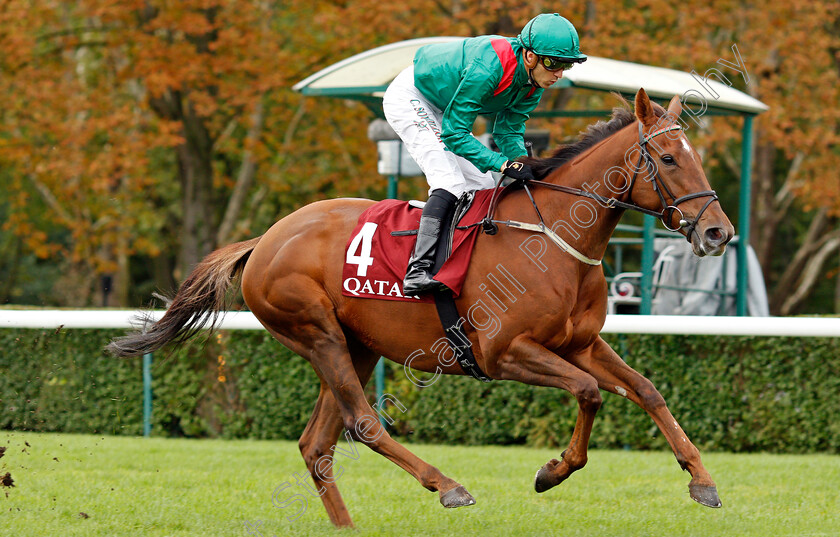 Tarnawa 
 TARNAWA (Christophe Soumillon)
Longchamp 3 Oct 2021 - Pic Steven Cargill / Racingfotos.com