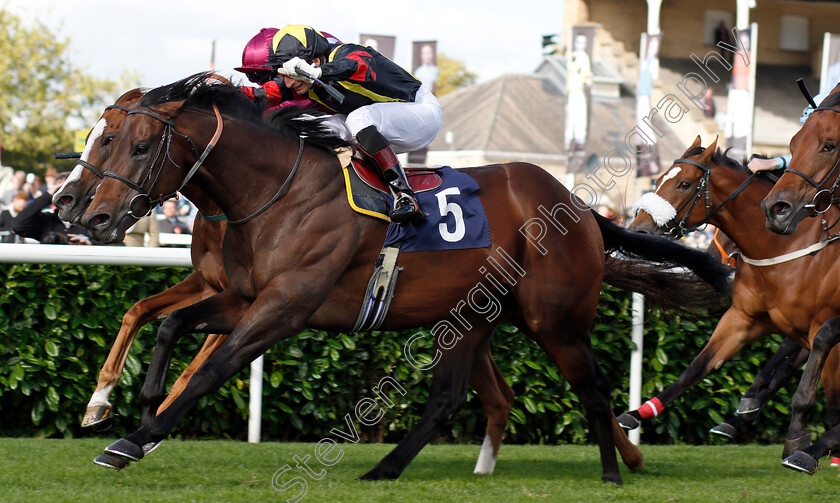 Global-Applause-0005 
 GLOBAL APPLAUSE (Gerald Mosse) wins The D C Training And Development Services Scarbrough Stakes
Doncaster 12 Sep 2018 - Pic Steven Cargill / Racingfotos.com