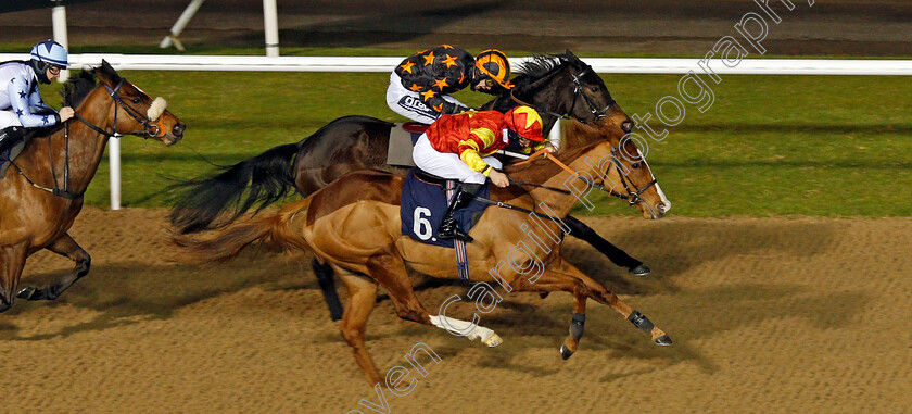 Lottie-Marie-0006 
 LOTTIE MARIE (nearside, Rhys Clutterbuck) beats TORONADO QUEEN (farside) and I'M AVAILABLE (left) in The Ladbrokes Watch Racing Online For Free EBF Fillies Handicap
Wolverhampton 1 Feb 2021 - Pic Steven Cargill / Racingfotos.com