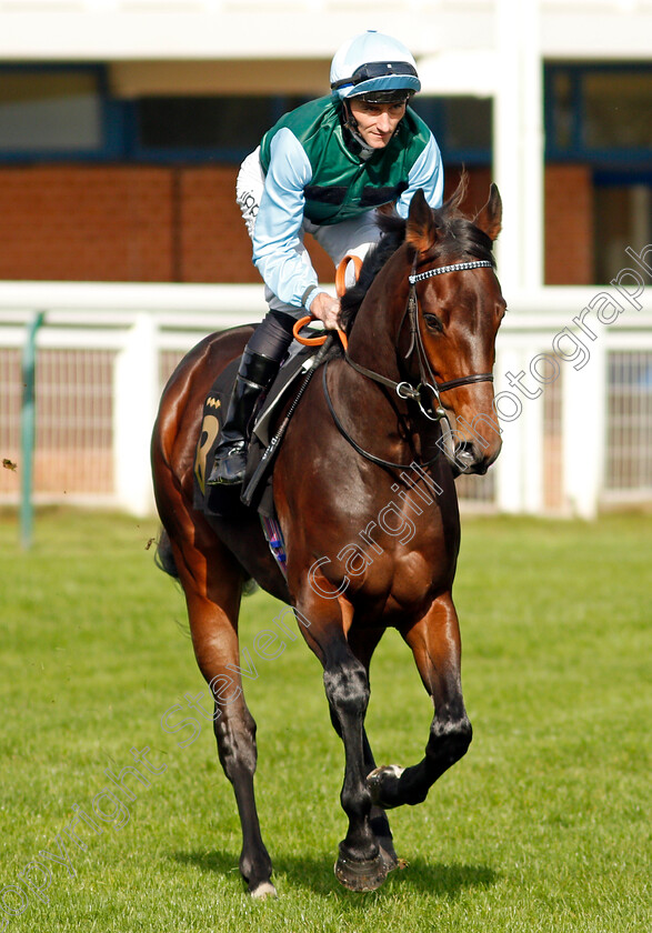 Wilkins-0001 
 WILKINS (Daniel Tudhope)
Nottingham 13 Oct 2021 - Pic Steven Cargill / Racingfotos.com