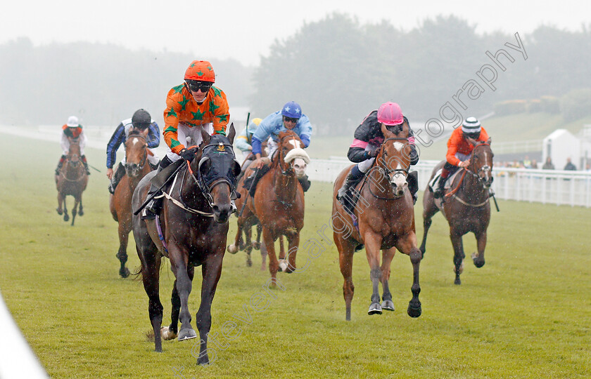 Love-Dreams-0002 
 LOVE DREAMS (left, P J McDonald) beats CHARLES MOLSON (right) in The South Downs Water Handicap Goodwood 24 May 2018 - Pic Steven Cargill / Racingfotos.com